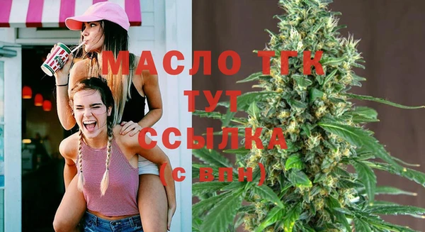 молекула духа Волоколамск