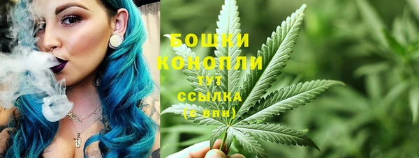молекула духа Волоколамск