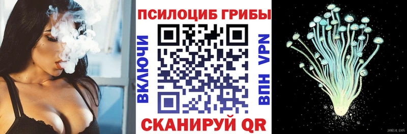 Галлюциногенные грибы Cubensis  маркетплейс официальный сайт  Певек 